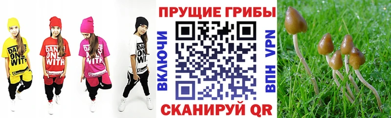 Галлюциногенные грибы ЛСД  Купить закладки  Радужный 
